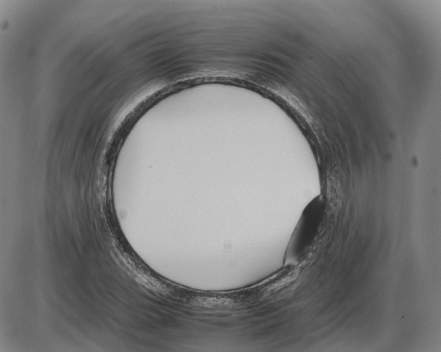 X0000085071119200704021404