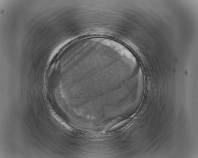 X0000085071120200704021404