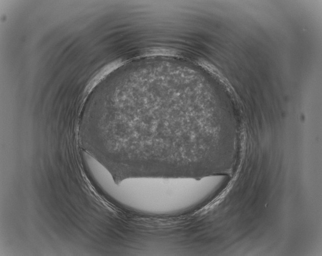 X0000085071121200704021404