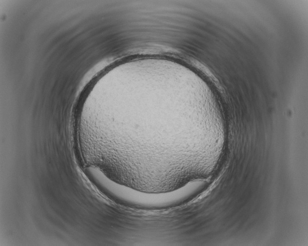 X0000085071122200704021404