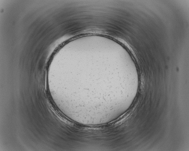 X0000085071123200704021404