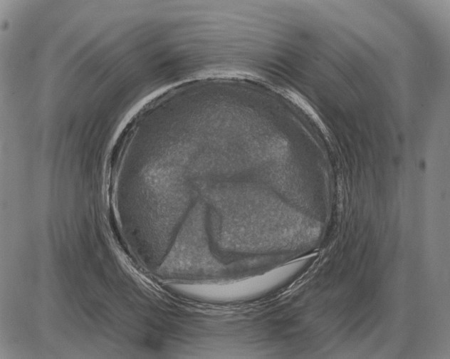 X0000085071124200704021404