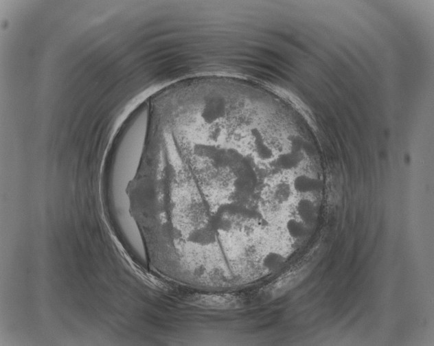 X0000085071125200704021404