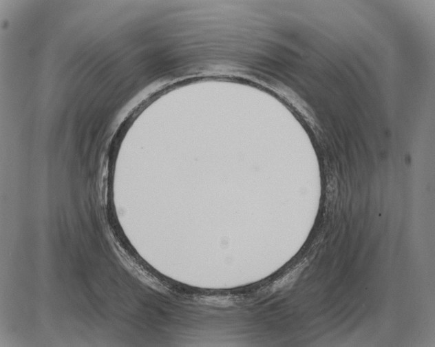 X0000085071126200704021404