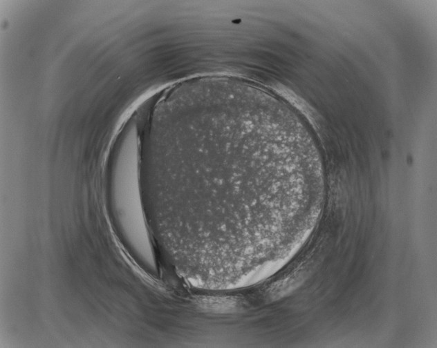 X0000085071127200704021404