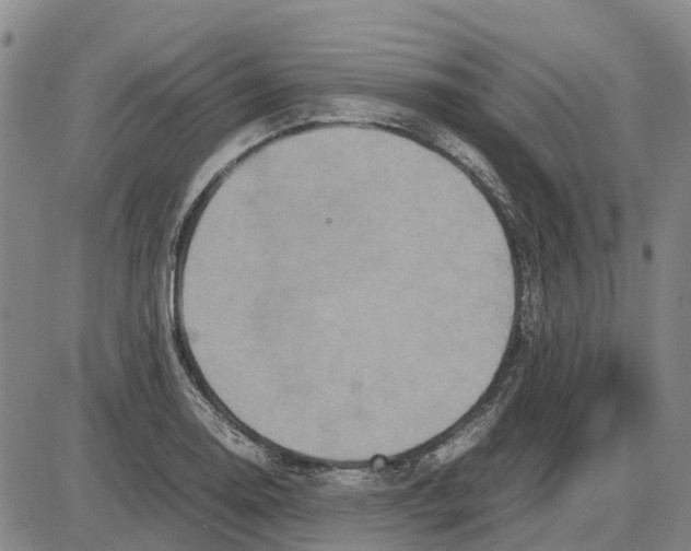 X0000085071130200704021404