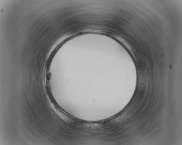 X0000085071131200704021404