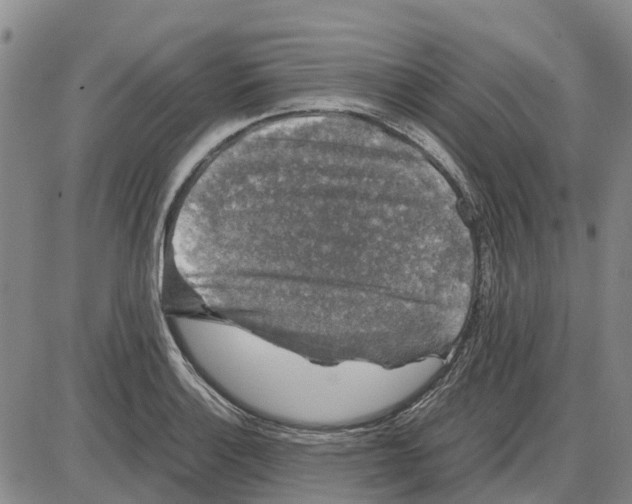 X0000085071132200704021404