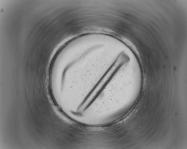 X0000085071136200704021404