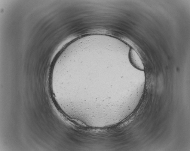 X0000085071139200704021404