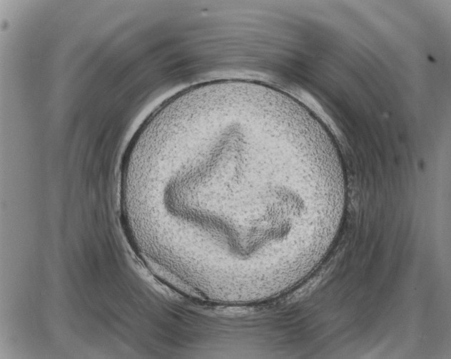 X0000085071140200704021404