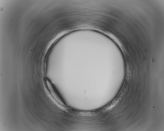 X0000085071142200704021404