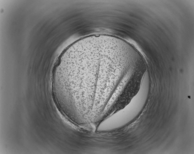 X0000085071143200704021404