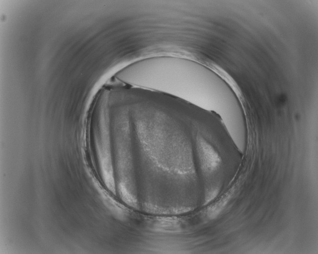 X0000085071144200704021404