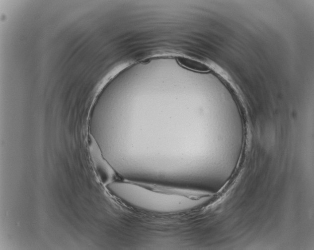 X0000085071145200704021404