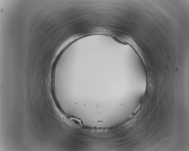 X0000085071147200704021404