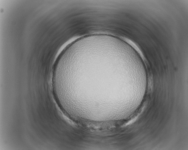 X0000085071149200704021404