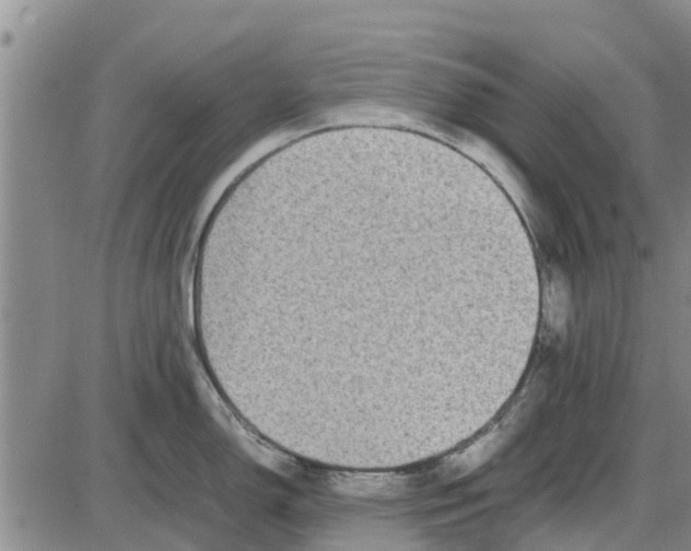 X0000085071150200704021404