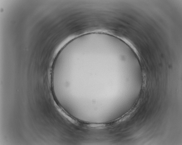 X0000085071151200704021404