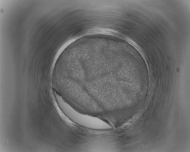 X0000085071152200704021404