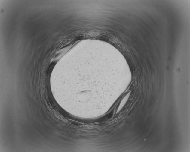 X0000085071153200704021403