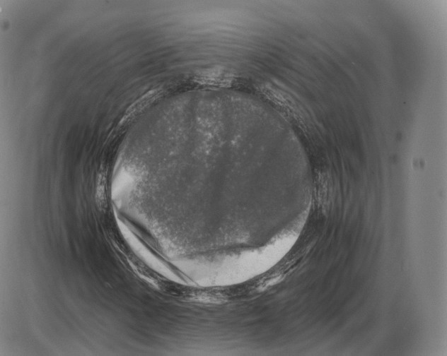 X0000085071154200704021403