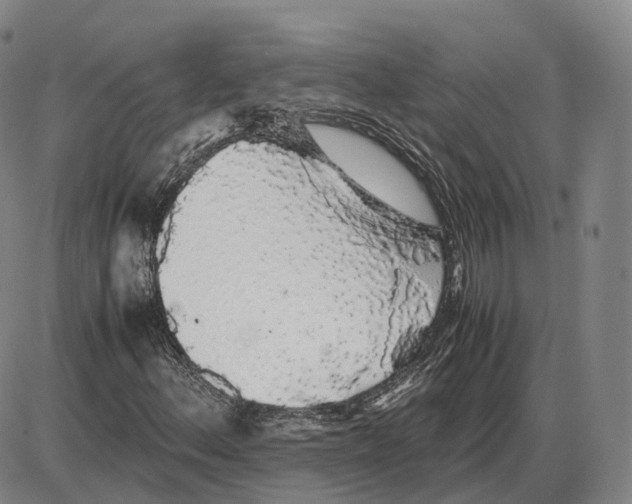 X0000085071156200704021403