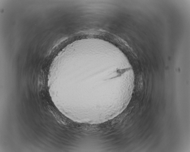 X0000085071158200704021403