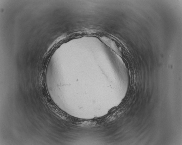 X0000085071160200704021403