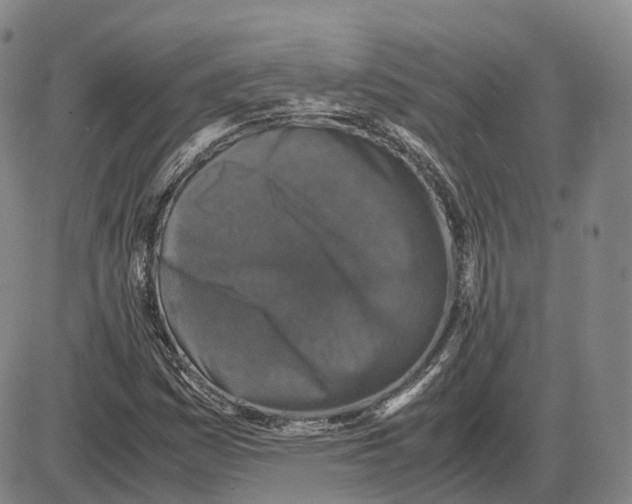 X0000085071161200704021403