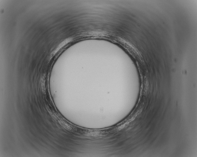 X0000085071162200704021403