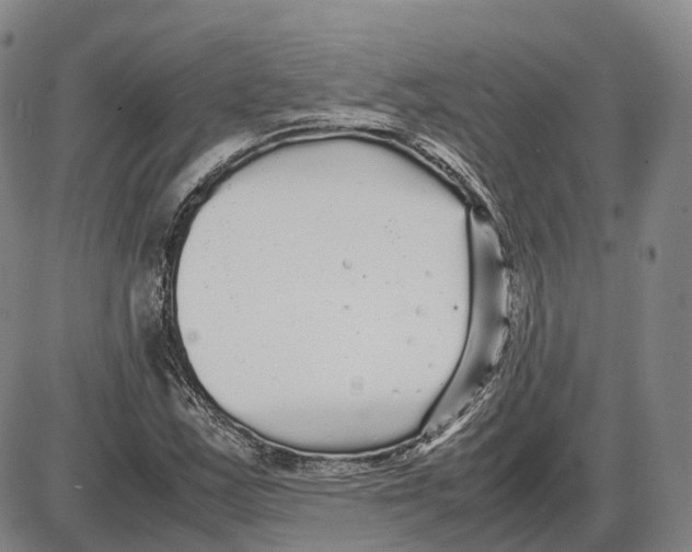 X0000085071163200704021403