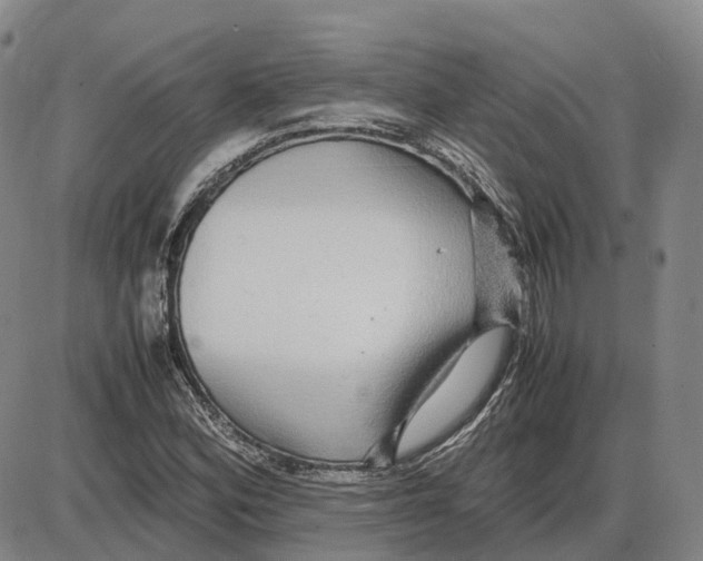 X0000085071164200704021403