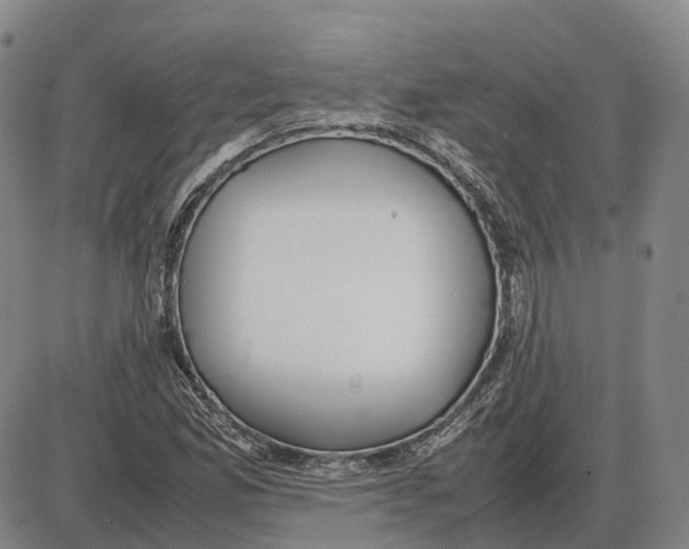 X0000085071165200704021403