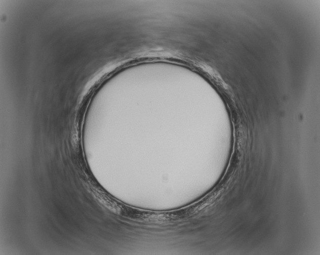 X0000085071167200704021403