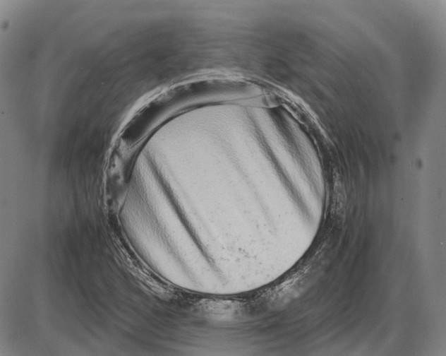 X0000085071168200704021403