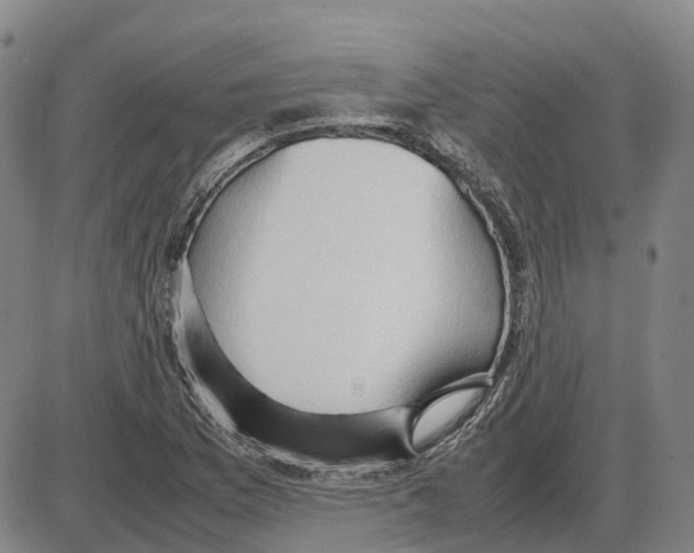 X0000085071169200704021403