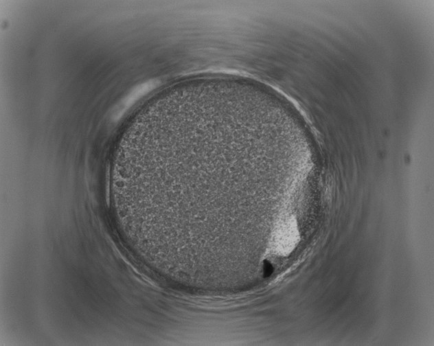 X0000085071171200704021403