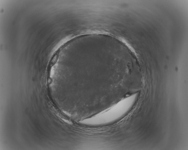 X0000085071173200704021403