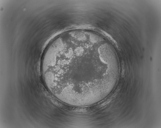 X0000085071174200704021403