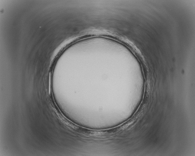 X0000085071175200704021403