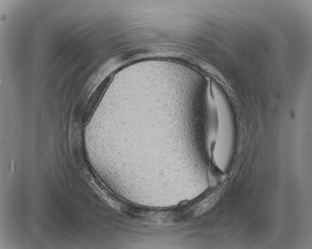 X0000085071177200704021403