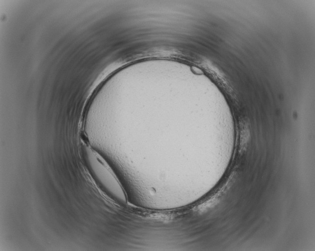 X0000085071178200704021403