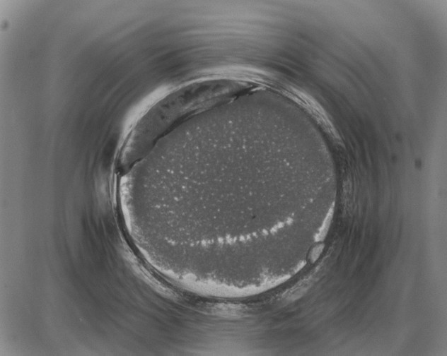 X0000085071180200704021403