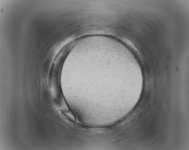 X0000085071181200704021403