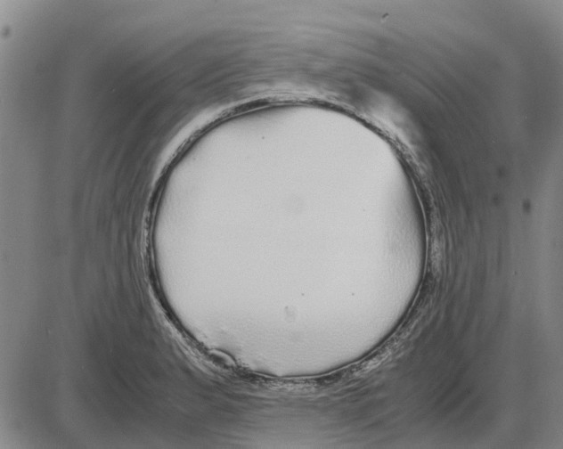 X0000085071183200704021403