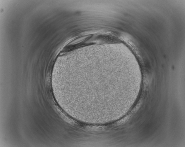 X0000085071185200704021403