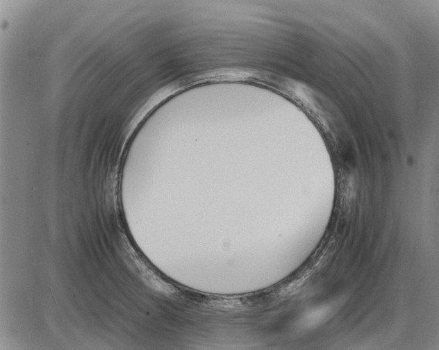 X0000085071186200704021403