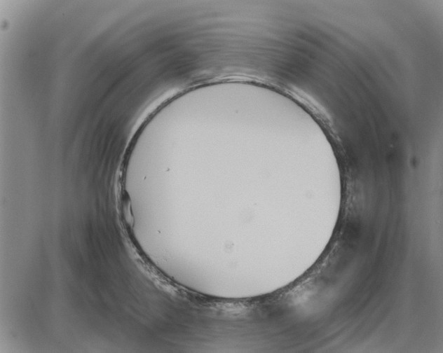 X0000085071190200704021403