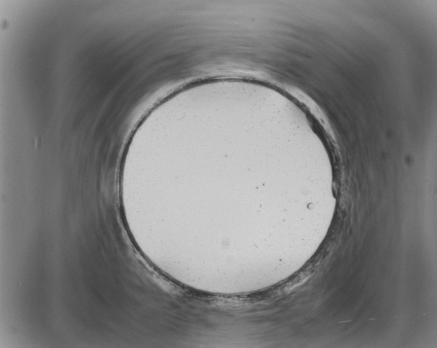 X0000085071191200704021403